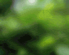 image00118.gif