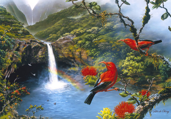 'I'iwi - Fringillidae Vestiaria coccinea