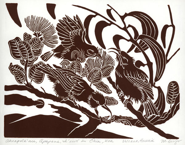 Akiapola'au, Apapane & 'I'iwi