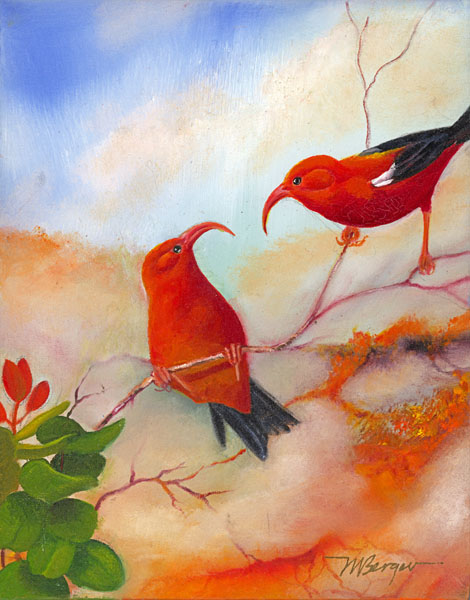 'I'iwi - Fringillidae Vestiaria coccinea